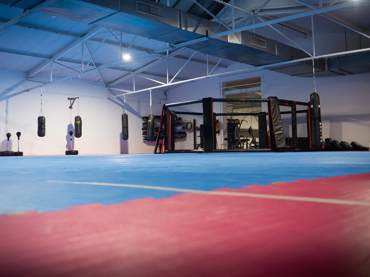 Breite Panoramaaufnahme der Halle mit blauem Boden, Spiegelwand und MMA-Käfig in der Mitte.